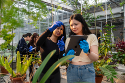 Gallery Image Greenhouse_15.jpg-nggid043863-ngg0dyn-250x250x100-00f0w010c010r110f110r010t010.jpg