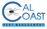 Cal Coast Pest Mangement