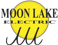 Moon Lake Electric