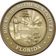 Florida House of Representative, The Honorable Kristen Arrington District 46