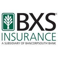 BXS Insurance BXS Insurance