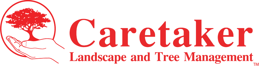 Caretaker Landscape and Tree Management