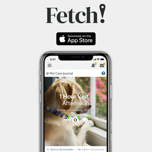 Gallery Image MyFetch%20App%20Post.png