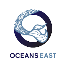 Oceans East Luxury Apartments