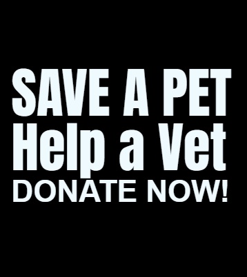 Gallery Image Gallery2.jpg