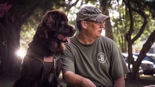 Gallery Image Gallery4.jpg