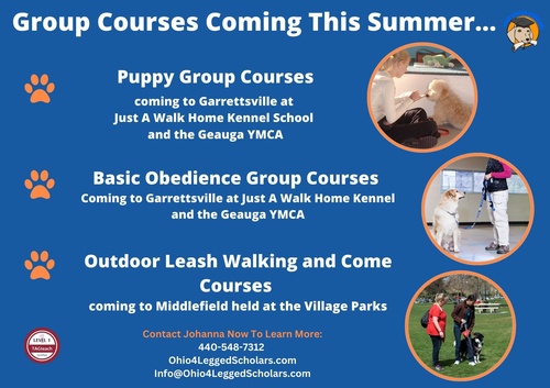 Group Dog Training Obedience Courses at the Geauga YMCA