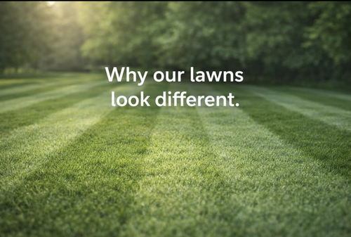 Professional lawn fertilization results across Greater Cleveland