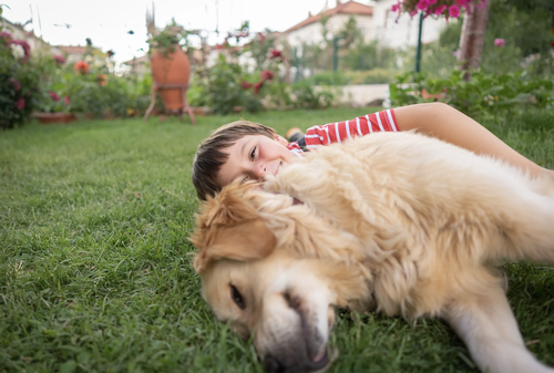 Family and pet friendly lawn care programs