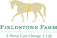 Fieldstone Farm Therapeutic Riding Center - Chagrin Falls