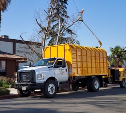 West Coast Arborists, Inc.