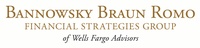 Nancy Braun Romo - Financial Advisor with Wells Fargo Advisors