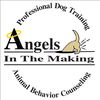 Angels in the Making, LLC