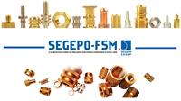 SEGEPO-FSM