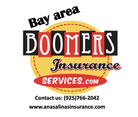 Ana Salinas Insurance Services 
