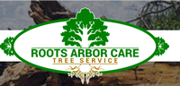 Healthy Roots Arbor Care