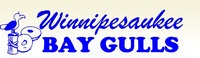 Winnipesaukee Bay Gulls 2