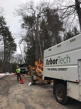 ArborTech ''Tree Removal Experts''