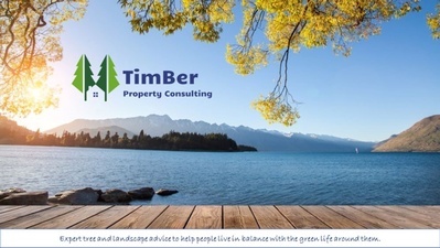 TimBer Property Consulting LLC