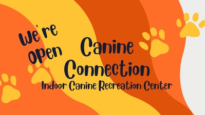 Canine Connection LLC