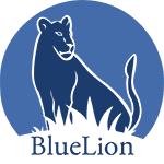 BlueLion LLC BlueLion LLC