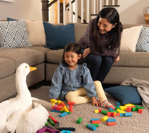 Gallery Image Aflac%202.PNG