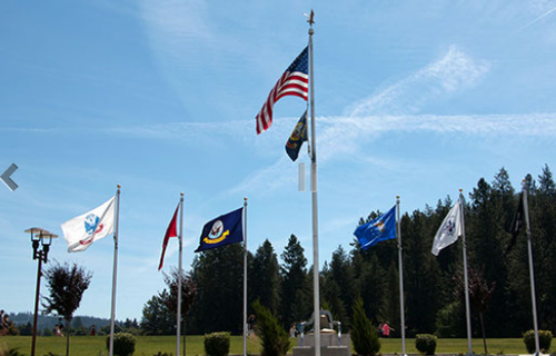 Gallery Image City%202.PNG