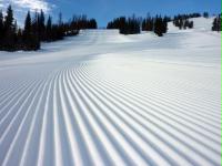 Impeccable Corduroy Awaits it's our Trademark 