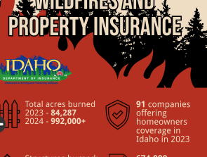 Gallery Image Idaho%20Insurance%202.PNG