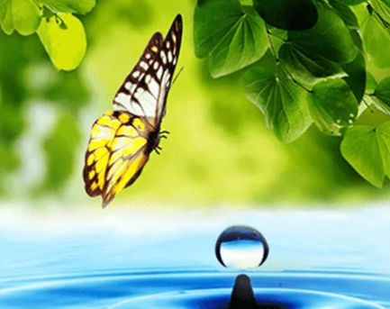 Gallery Image English%202.PNG