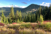Gallery Image Kootenai%20Environ%202.PNG