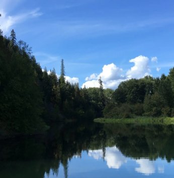 Gallery Image Lake%20Pend%203.PNG