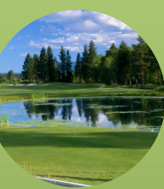 Gallery Image Circling%202.PNG
