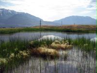 HDR is developing a 100-acre wetland mitigation bank at the north end of Utah Lake. Mitigation activities include creation, restoration, enhancement, and preservation of wetlands. 