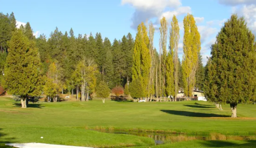 Gallery Image Pond%201.PNG