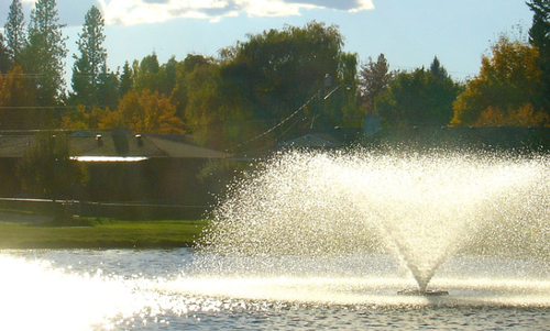Gallery Image Pond%203.PNG