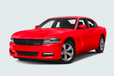 Gallery Image Findlay%203.PNG