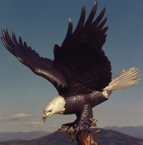 Gallery Image United%202.PNG