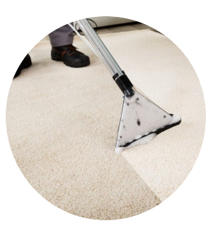Gallery Image Carpet%201.PNG