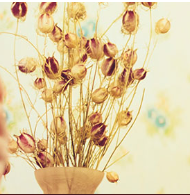 Gallery Image Yates%202.PNG