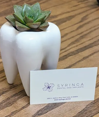 Gallery Image Syringa%202.PNG
