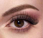 Gallery Image Amazing%20Lash%203.PNG