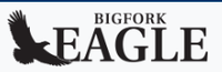 Bigfork Eagle