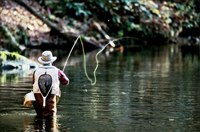 Our area is great for fly-fishing and we offer guided tours.