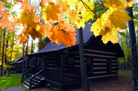 We have 18 rustic luxury cabins appointed with all of the amenities.