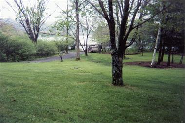 View of Back yard to lake and boat dock.