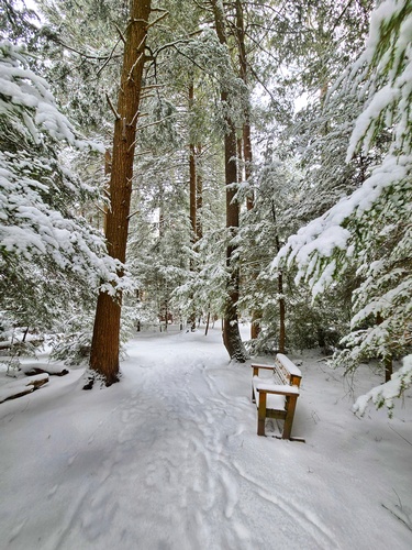 Gallery Image 20250221_092048.jpg