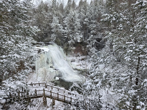 Gallery Image 20250221_094342(0).jpg