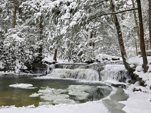 Gallery Image tolliver-winter-2025.jpg