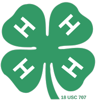 LaGrange Tunnel-Lites 4-H Club